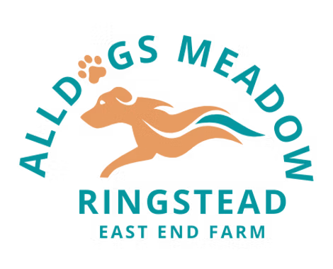 All Dogs Meadow